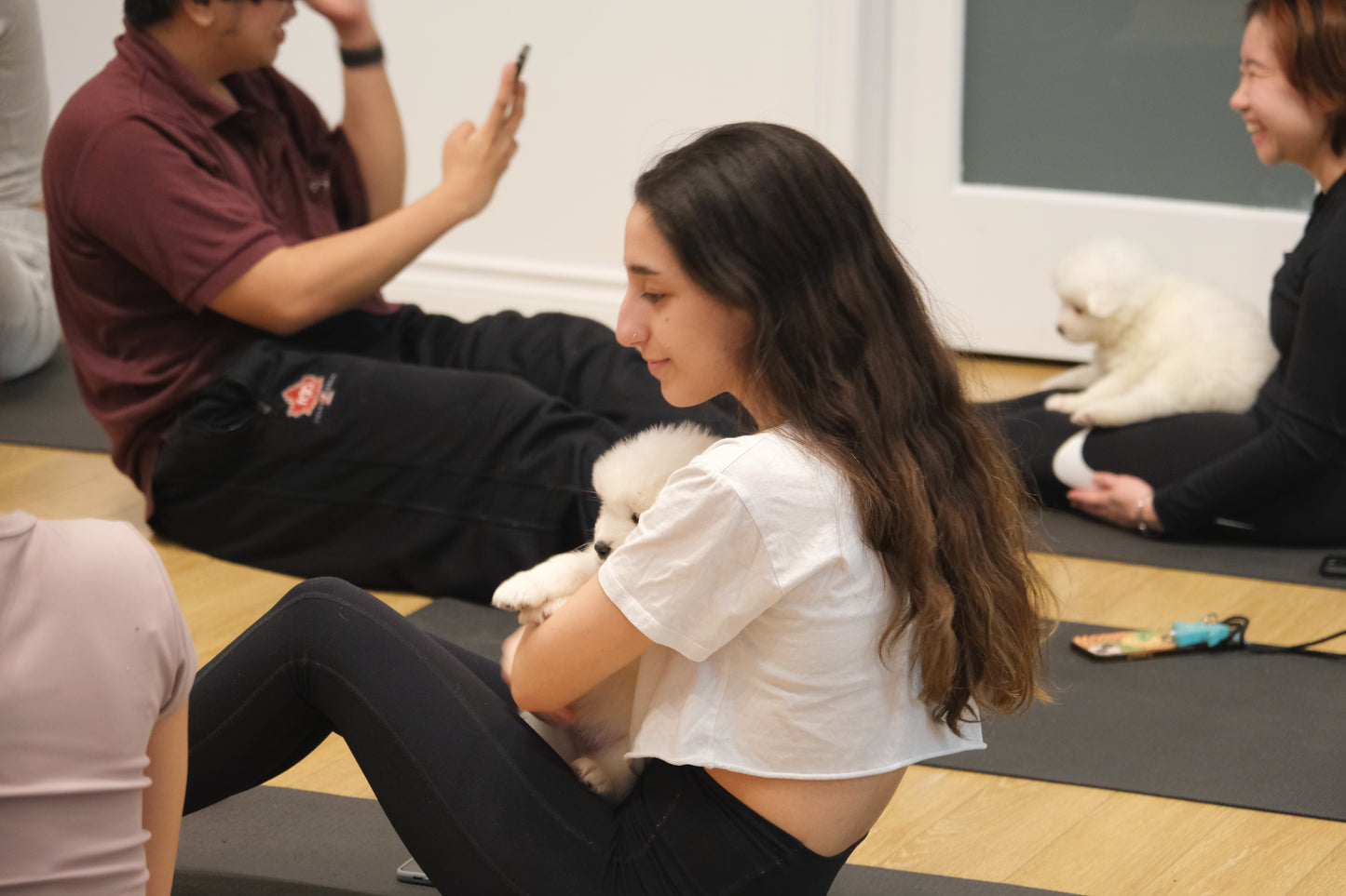 Puppy Yoga (Markham and North York)