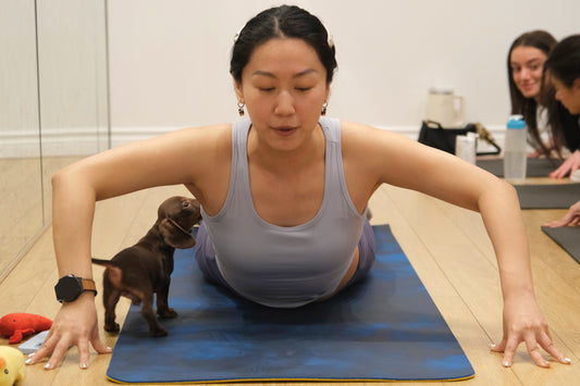 Puppy Yoga (Markham and North York)